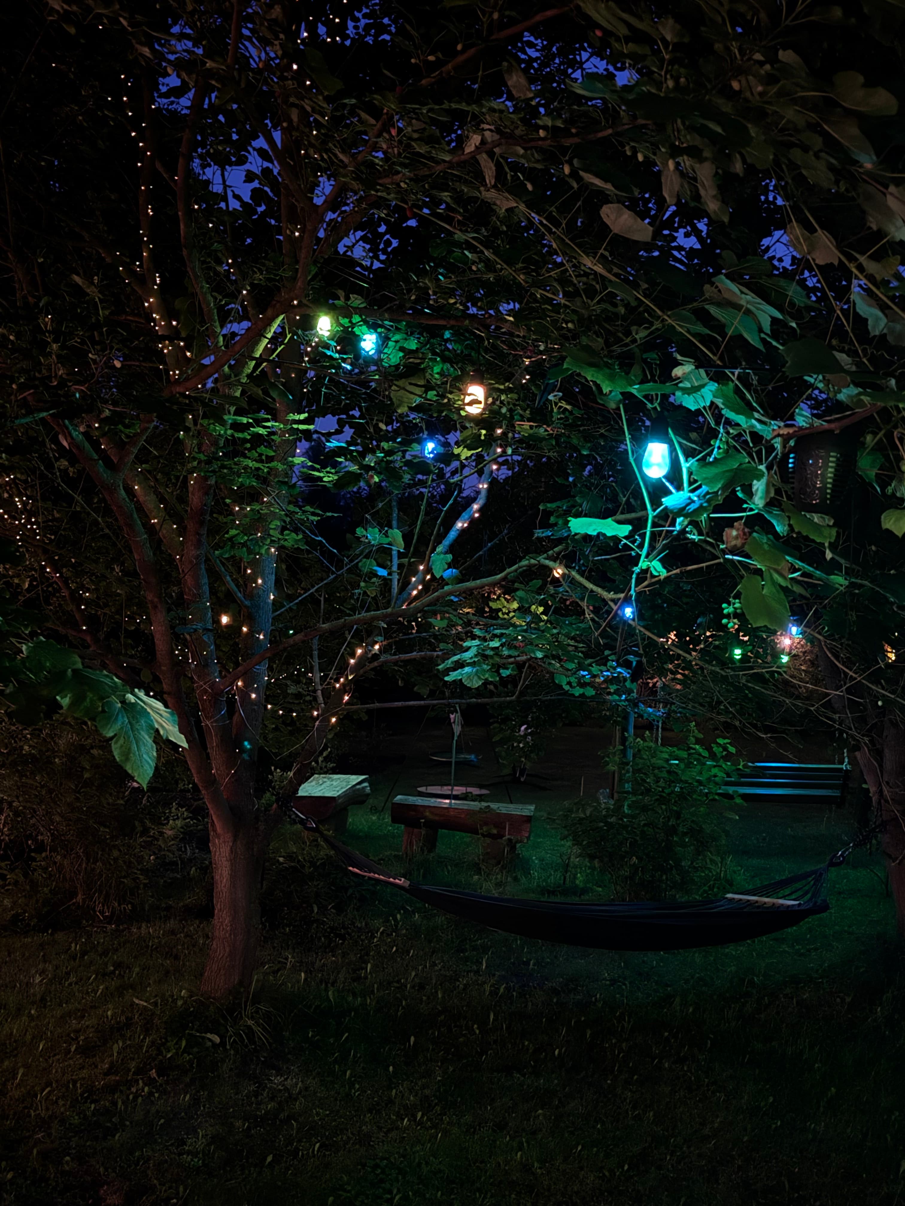 Ogród nocą z lampkami i hamakiem